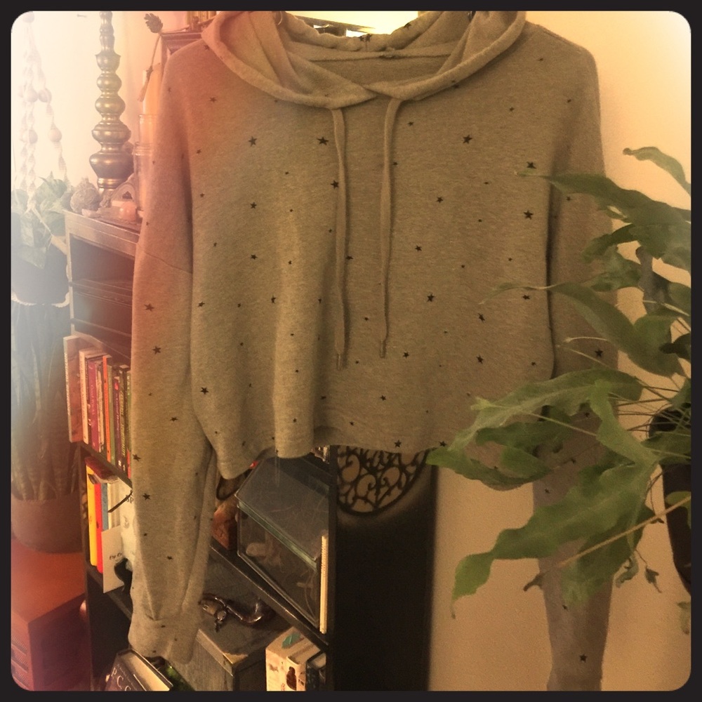 Starry Grey cropped hoodie good condition